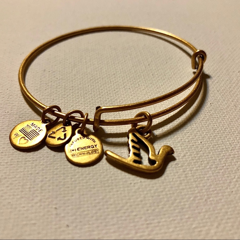 Alex and Ani Charm Bangle